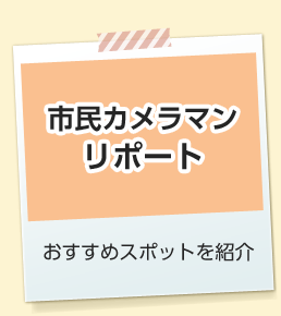 市民カメラマンリポート　おすすめスポットを紹介