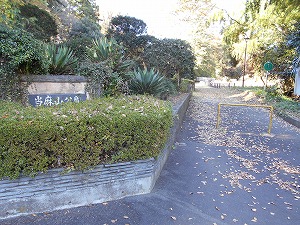 写真：当麻山公園