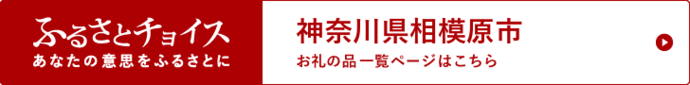 ふるさとチョイス（外部リンク・新しいウインドウで開きます）