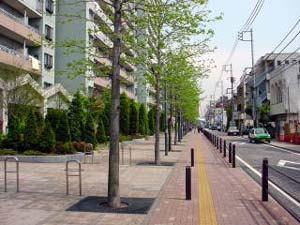 建物の周りに確保された公開空地の状況写真