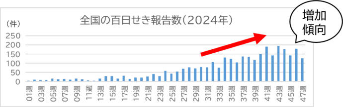 全国の百日せき報告数　画像