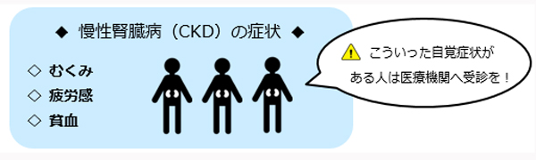 慢性腎臓病（CKD）の症状 むく、疲労感、貧血こういった自覚症状が