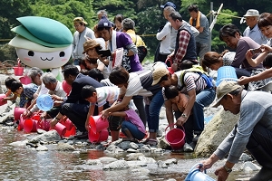 鮎の放流とミウルの写真