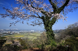 「南区　私のイチ押し写真」大賞の写真