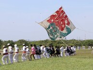 相模の大凧まつりの拡大写真を表示