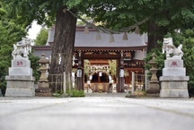 夏越大祓式　茅の輪くぐり（亀が池八幡宮）（2024年6月撮影分）の拡大写真を表示