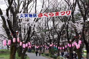 おおさわ桜まつりの写真