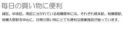 毎日の買い物に便利　緑区、中央区、南区に分かれている相模原市には、それぞれ橋本駅、相模原駅、相模大野駅を中心に、日常の買い物にとても便利な商業施設が揃っています。