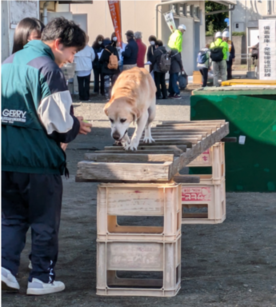 なっちゃんのはしご渡り