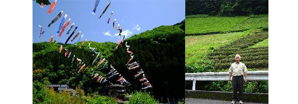 陣馬・高尾山エリアの写真