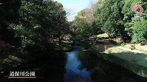 道保川公園の写真