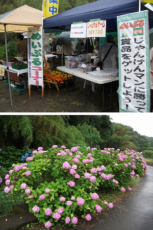 城北・里山まつりの写真