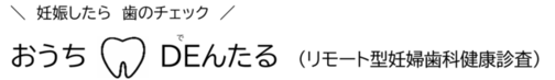 おうちDE(で)んたる（リモート型妊婦歯科健康診査）　画像